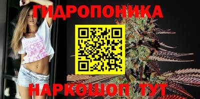 ПСИЛОЦИБИНОВЫЕ ГРИБЫ Кулебаки